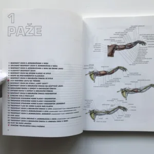 Posilování – Anatomický průvodce, Frédéric Delavier