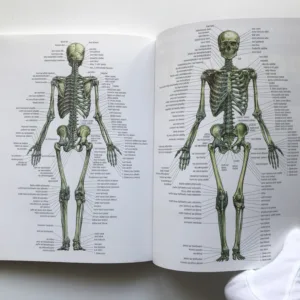 Posilování – Anatomický průvodce, Frédéric Delavier