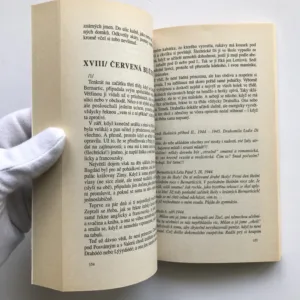 Doktorka z domu Trubačů, Ilona Borská