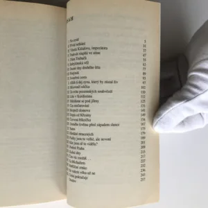 Doktorka z domu Trubačů, Ilona Borská