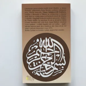 Doktorka z domu Trubačů, Ilona Borská