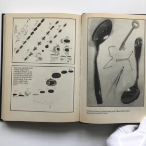 Zázraky a podvody, Josef Fleissig