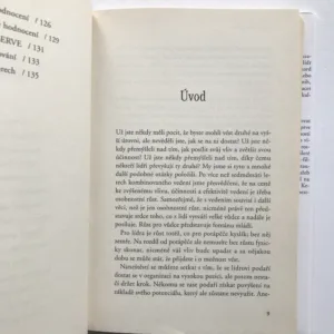 Velcí šéfové (Jak vést celý život), Ken Blanchard, Marc Miller