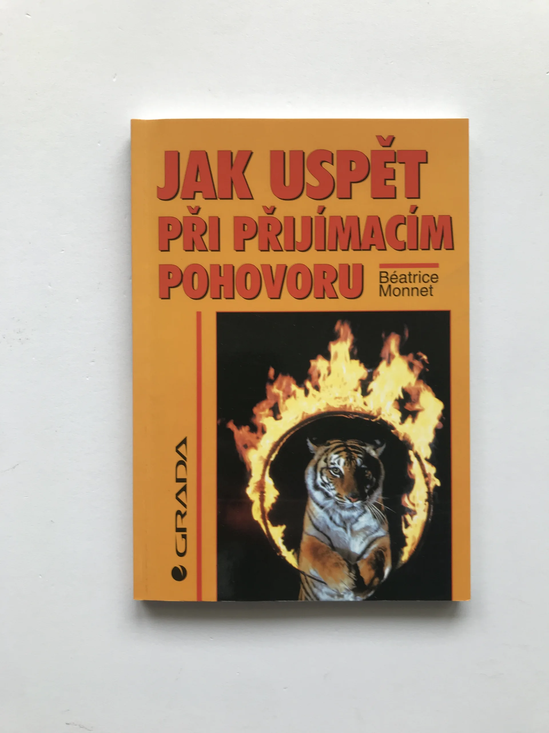 Jak uspět při přijímacím pohovoru, Béatrice Monnet