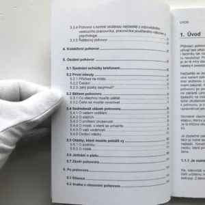 Jak uspět při přijímacím pohovoru, Béatrice Monnet