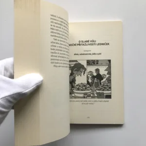 Iracionálně váš..., Dan Ariely