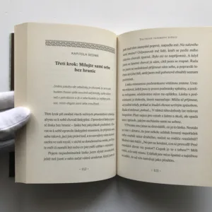 Toltécké tajemství štěstí (Jak silou přesvědčení vytvořit trvalou změnu), Ray Dodd