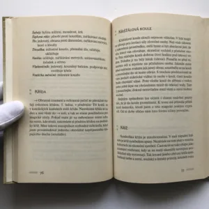 Bílá magie (365 ochranných a posilujících praktik), Matthias Mala