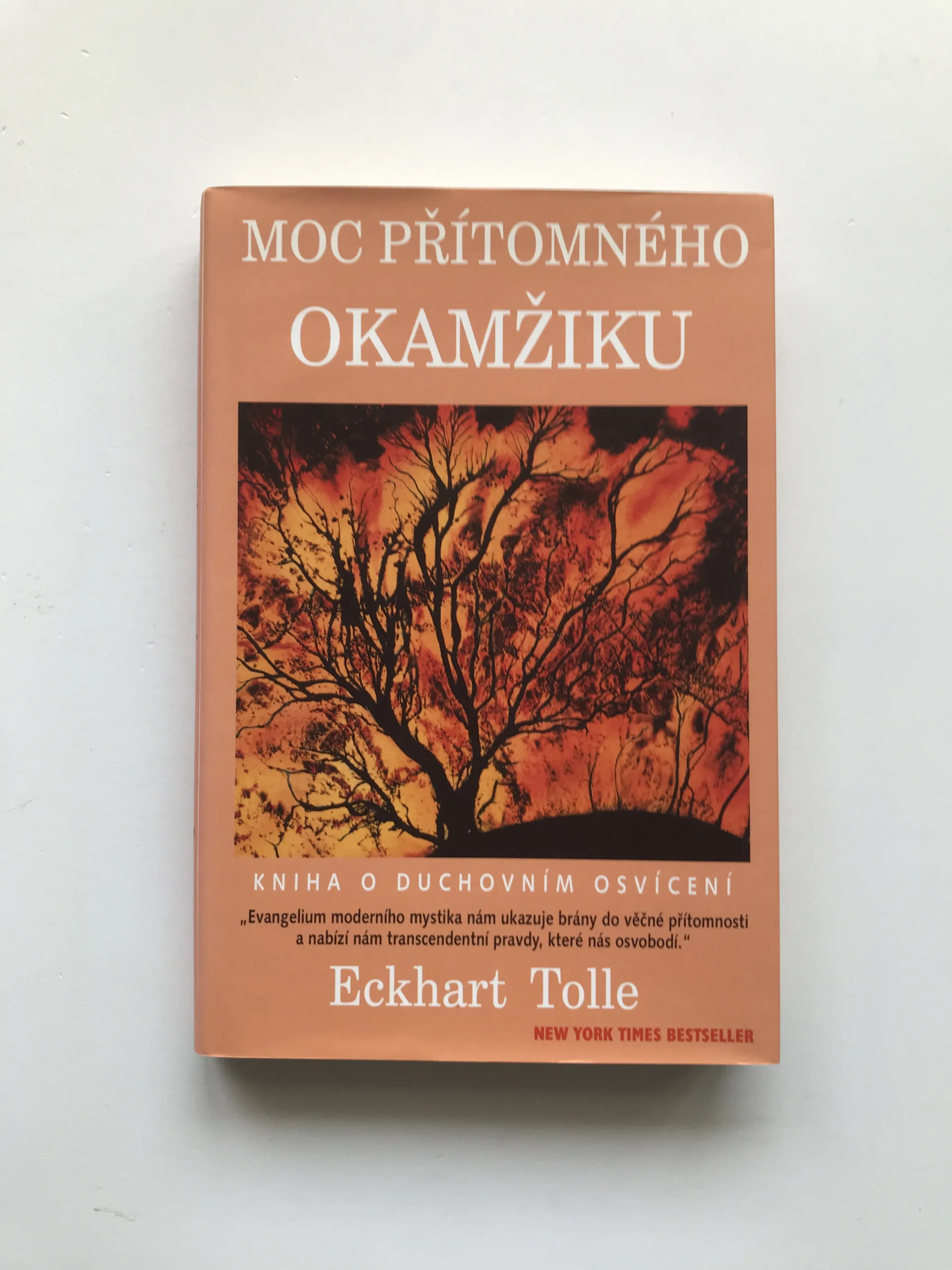 Moc přítomného okamžiku (Kniha o duchovním osvícení), Eckhart Tolle