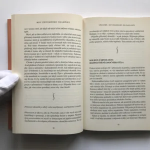 Moc přítomného okamžiku (Kniha o duchovním osvícení), Eckhart Tolle