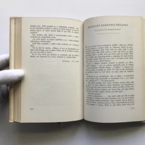 Zrádce národa v Chotěboři, Jaroslav Hašek