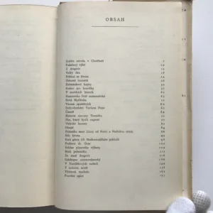 Zrádce národa v Chotěboři, Jaroslav Hašek