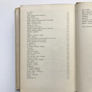 Zrádce národa v Chotěboři, Jaroslav Hašek