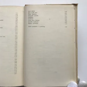 Zrádce národa v Chotěboři, Jaroslav Hašek