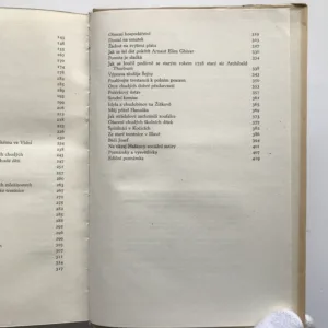 Loupežný vrah před soudem, Jaroslav Hašek