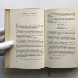 Črty, povídky a humoresky z cest, Jaroslav Hašek