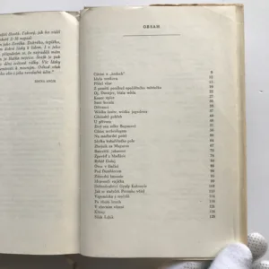 Črty, povídky a humoresky z cest, Jaroslav Hašek