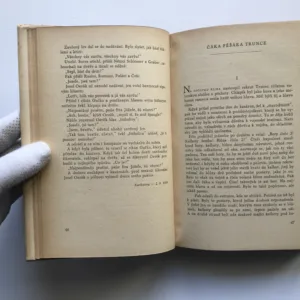 Dobrý voják Švejk před válkou a jiné podivné historky, Jaroslav Hašek