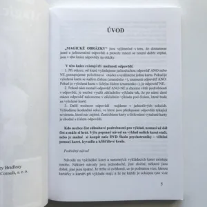 Magické obrázky (Návod na vykládání karet), Michaela Bradleay, Stanley Bradleay
