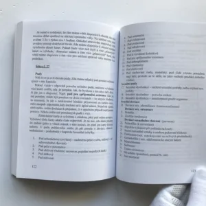 Magické obrázky (Návod na vykládání karet), Michaela Bradleay, Stanley Bradleay