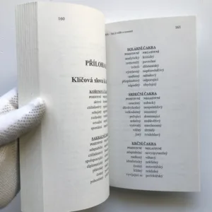 Aura (Jak ji vidět a rozumět), Richard Webster