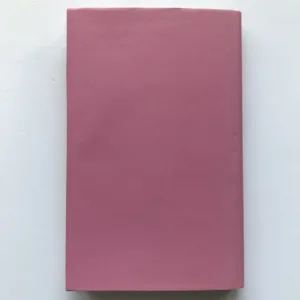 Lehká dívka a reportér, Karel Poláček