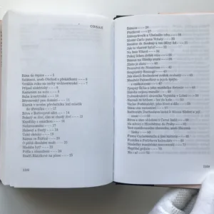 Soudničky, Karel Poláček