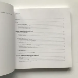 Světy na pokračování (Rozbor možností seriálového vyprávění), Radomír D. Kokeš