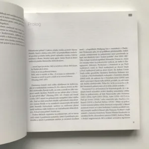 Světy na pokračování (Rozbor možností seriálového vyprávění), Radomír D. Kokeš