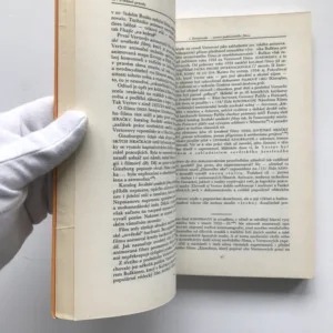 Dziga Vertov, revolucionář dokumentárního filmu, Antonín Navrátil