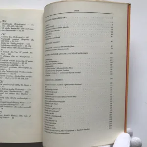 Dziga Vertov, revolucionář dokumentárního filmu, Antonín Navrátil