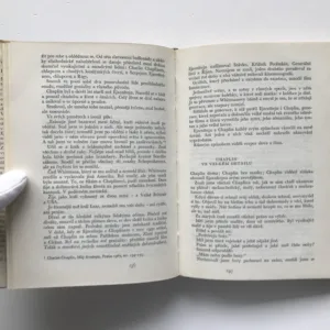 Ejzenštejn, Viktor Šklovskij