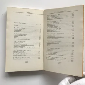 Teorie filmové dramaturgie, Yvette Biróová