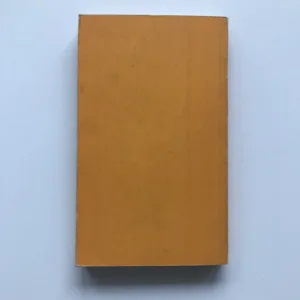 Teorie filmové dramaturgie, Yvette Biróová