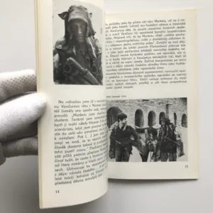 Podoby Františka Vláčila, Milan Hanuš