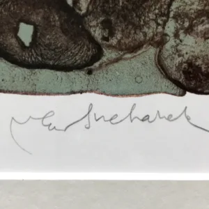 Vladimír Suchánek – Země