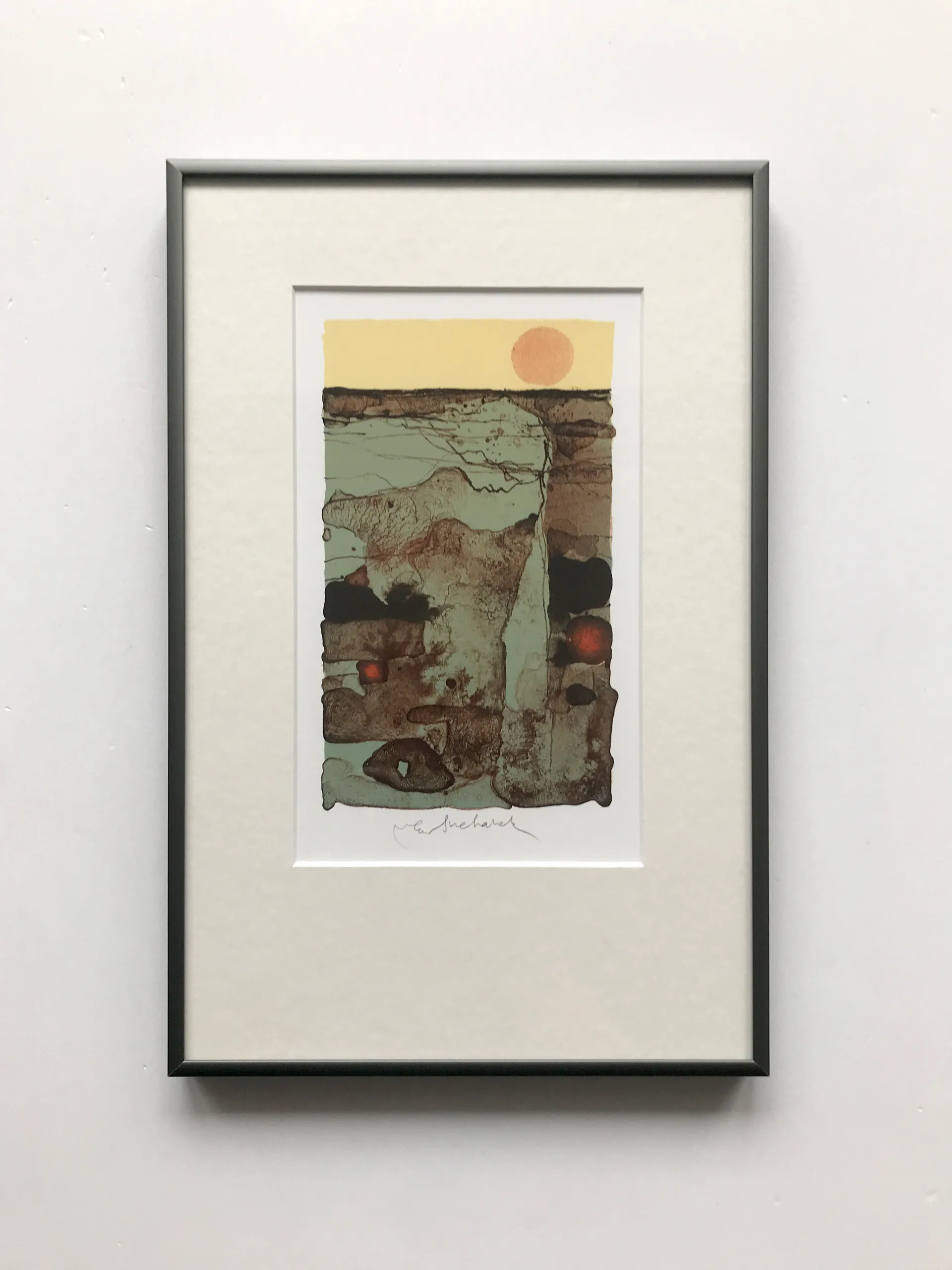 Vladimír Suchánek – Země