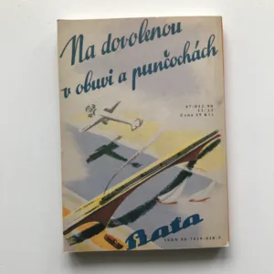 Žil jsem s miliardářem, Edvard Valenta