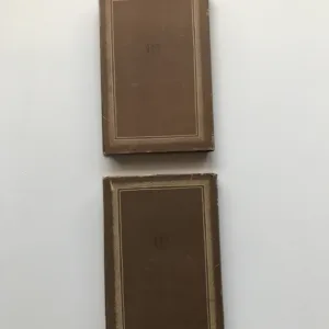 Druhé housle 1+2 (Román o velké cestě Emila Holuba), Edvard Valenta