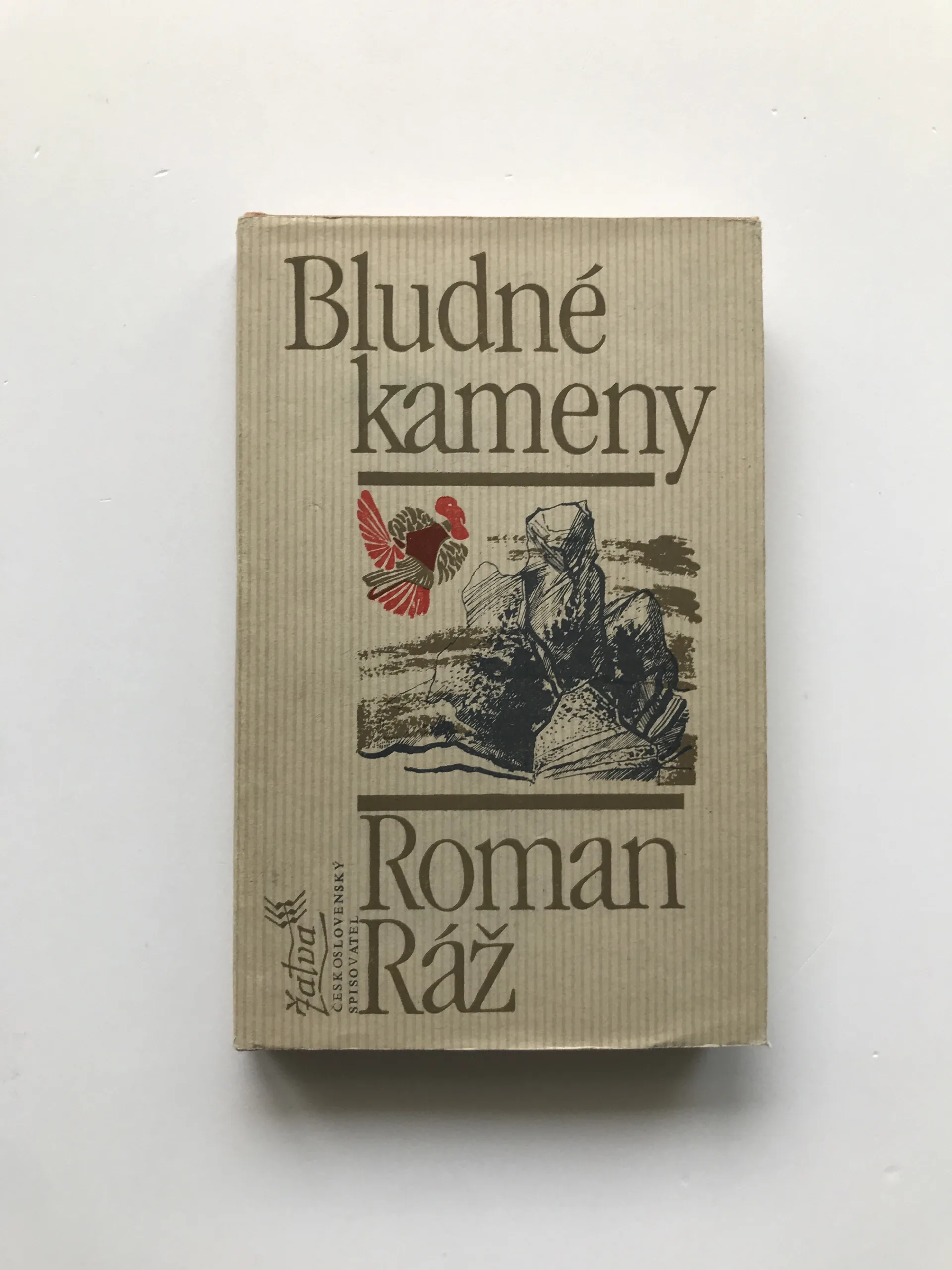 Bludné kameny, Roman Ráž