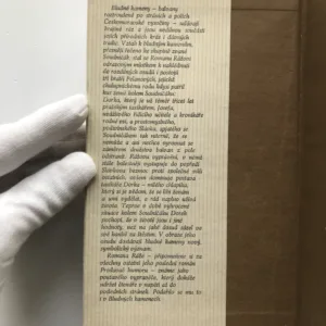 Bludné kameny, Roman Ráž