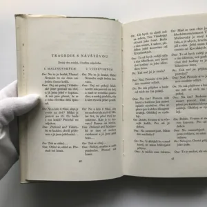 Střely i střelky, Stefania Grodzienska