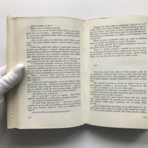 Pět japonských novel, Ičijó Higuči, Hómei Iwano, Džuničiró Tanizaki, Riiči Jokomicu, Jasunari Kawabata