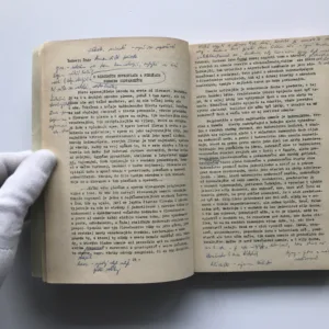 Slovensko a jeho život literárny, Ludvík Patera, Viera Budovičová