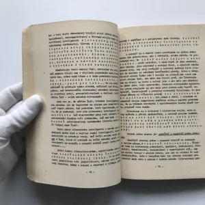 Slovensko a jeho život literárny, Ludvík Patera, Viera Budovičová