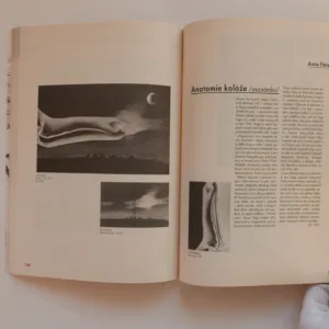 Karel Teige 1900-1951, Karel Srp, Anna Fárová, Rostislav Švácha, kolektiv autorů