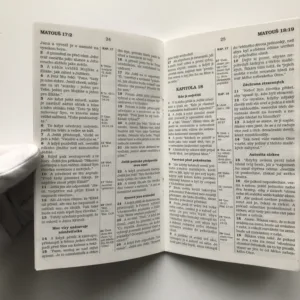 Evangelium podle Matouše (Nová Bible Kralická)