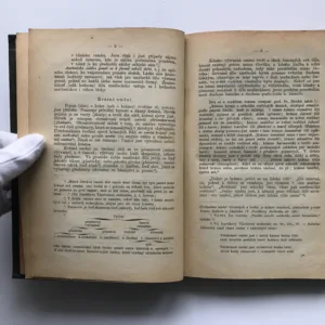 Stylistika a poetika (Díl II. – Poetika), Karel Vorovka