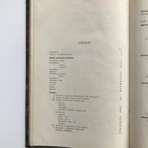 Popis a rozbor nářečí středobečevského, Antonín Kašík