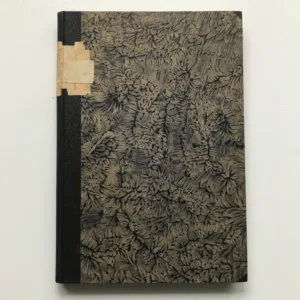 Národopisný sborník českoslovanský (Svazek první), František Pastrnek, kolektiv autorů